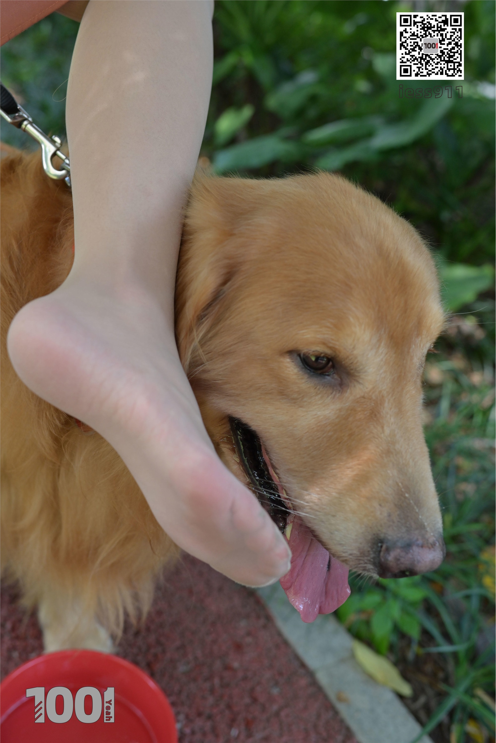 IESS异思趣向 一千零一夜 模特：真真《家有萌宠1》